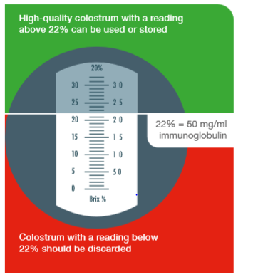 Diagram showing to only use colostrum above 22%.